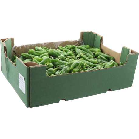 POIVRON PADRON 2KG